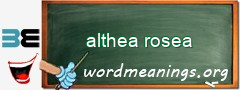 WordMeaning blackboard for althea rosea